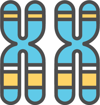 KNOVA Single Gene NIPT